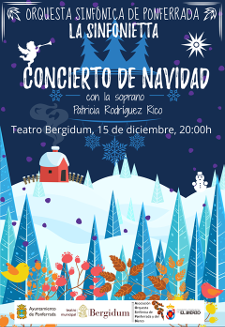 ConciertoNavidad2018_Bergidum p