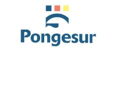 Pongesur SA