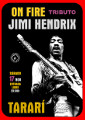 On Fire Jimi Hendrix