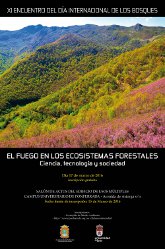 XI Encuentro del día Internacional de los Bosques