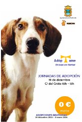 Jornadas de adopción y Campaña Navidad 2015/2016. Albergue Canino Municipal