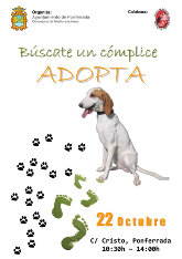 Jornadas de Adopción Canina 22/10/2016