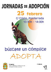 Jornadas de Adopción Canina. Sábado 25 febrero 2017