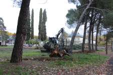 Obras Barrio de Compostilla (9) p