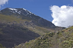 Los Montes Aquilianos