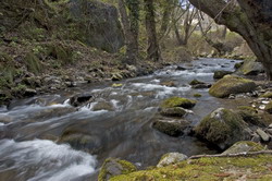 Valdefrancos Montes