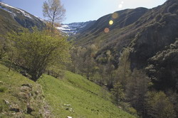 Cueva de Peñalba